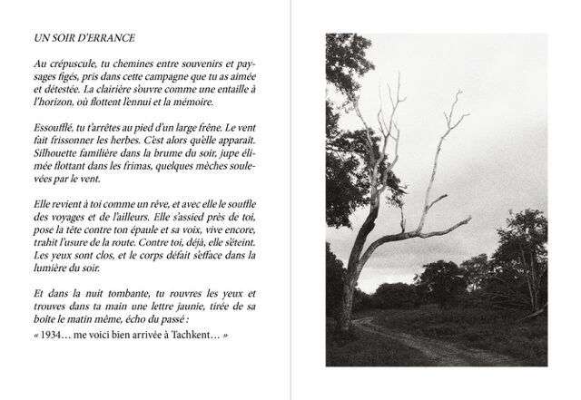 De tous les chemins sauvages — vue 2