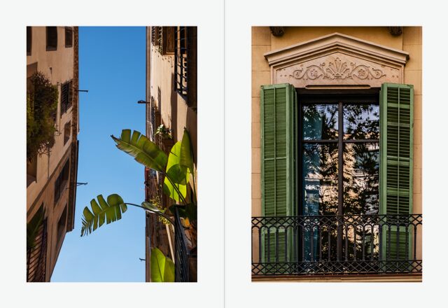 Working on a Dream — vue 3